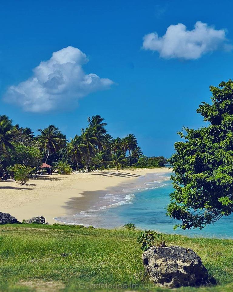 Vila Cocon Des Iles Anse-Bertrand Exteriér fotografie